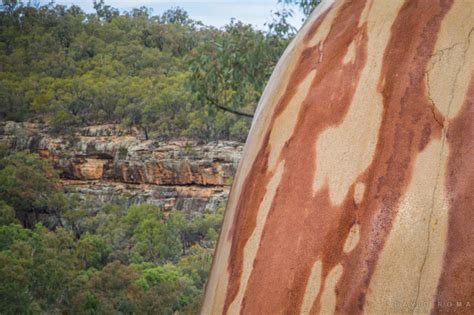 David Roma Photography Sculptures In The Scrub