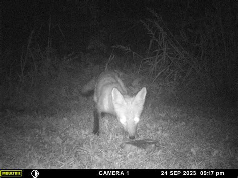 What critter will first eat this food? #10 | Page 3 | Refuge Forums