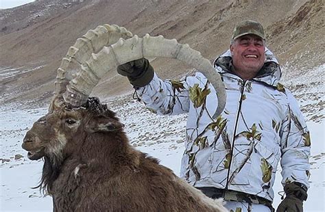 Successful Marco Polo And Mid Asian Ibex Combination In Tajikistan