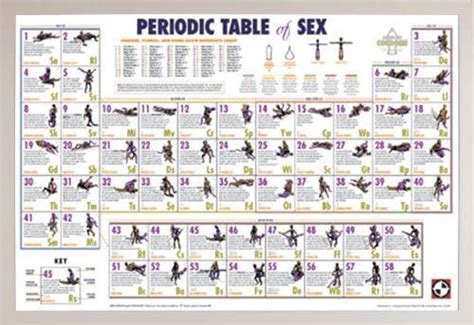 Periodic Table Of Sex Poster In A White Plastic Frame Free Nude Porn Photos