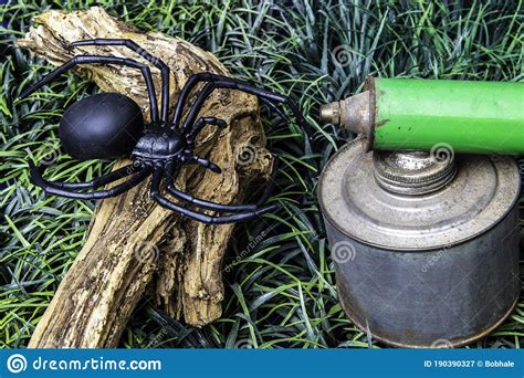 Still Life Spider On Wood With Vintage Spray Can Stock Image Image Of