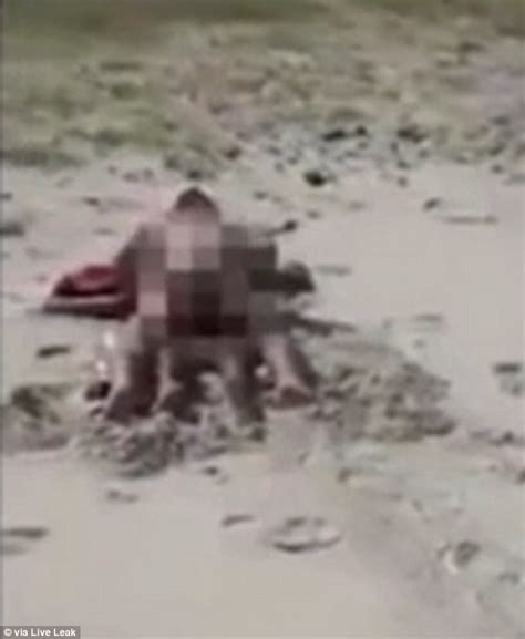 Video Shows A Couple Having Sex On A Public Beach In