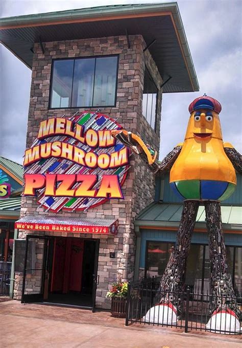 Mellow Mushroom At The Island My Pigeon Forge