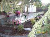 Images of Lava Rock Landscaping Ideas