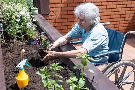 Benefits Of Gardening For Seniors And 7 Tips For Success