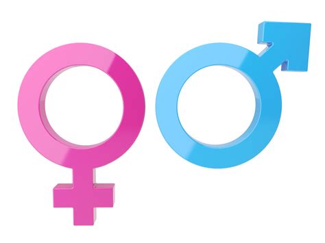 Origen Y Significado De Los Símbolos Femenino Y Masculino