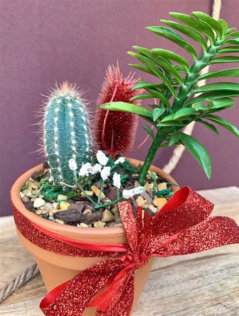 Housewarming T Burlap Cactus T Decorated T For Etsy