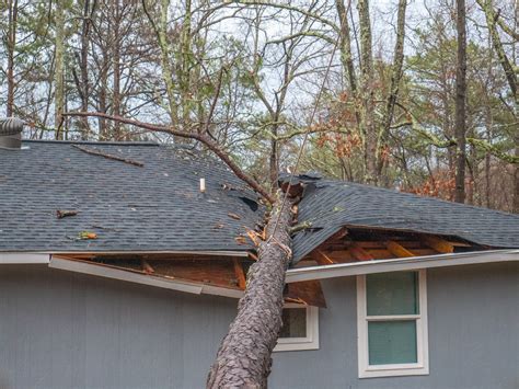 How To File A Storm Damage Insurance Claim Step By Step