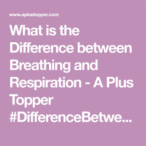 What Is The Difference Between Breathing And Respiration A Plus