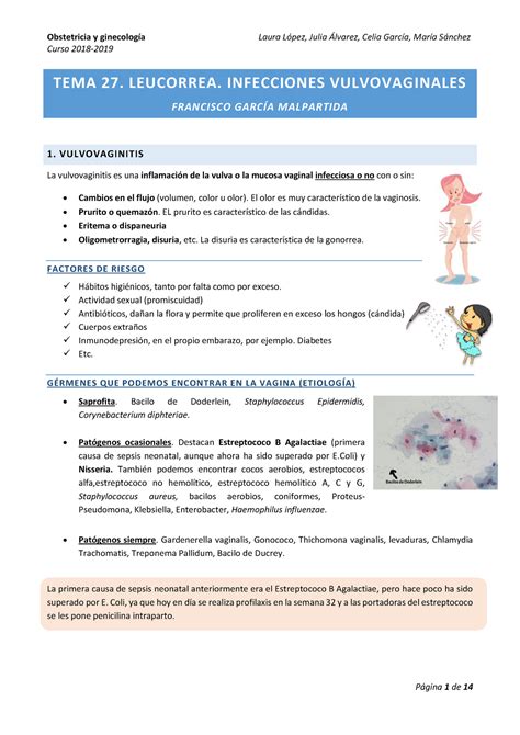 Tema Leucorrea Prurito Infecciones Del Tracto Genital Inferior