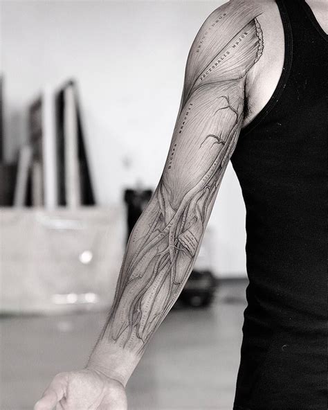 Vintage Anatomy Tattoo Sleeve By Dasleitbild Anatomy Tattoo