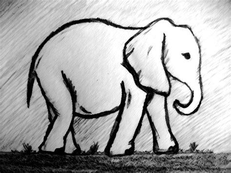 Easy Simple Elephant Drawing Mervin Wilks