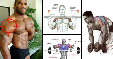 The Best Shoulder Workout Weightlifting Routines Bodydulding