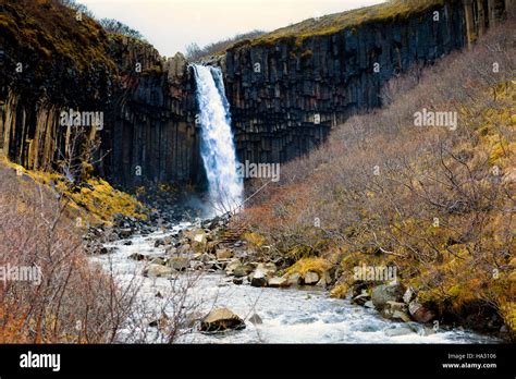 Svartifoss Black Falls Waterfall In Skaftafell In Vatnajokull