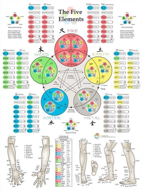 Five Elements Theory Acupuncture Poster 18 X 24 Acupuncture Points Chart Acupuncture Points