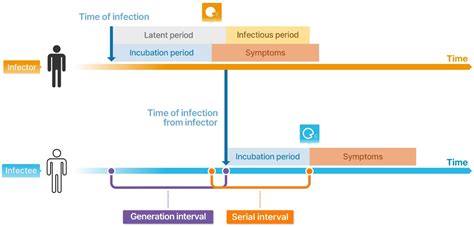 Viruses | Free Full-Text | Epidemiology and Transmission Dynamics of