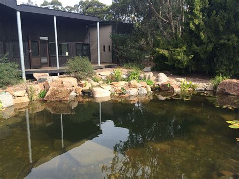 Recreation Ponds And Water Features Waterscapes Australia