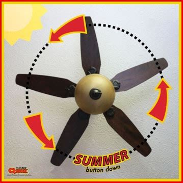 When your ceiling fan spins quickly in this direction, it pushes air down and creates a cool breeze. How to Use Your Ceiling Fan Effectively - Mister Quik Home ...