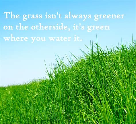 The Grass Is Green Where You Water It Inspirational Words Words Of