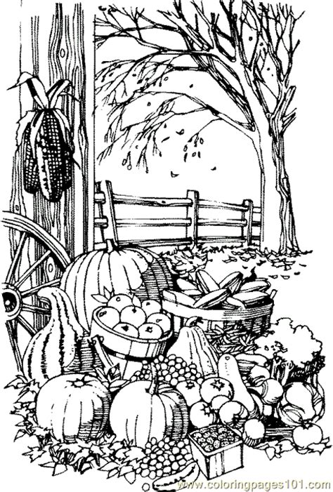 fall harvest coloring page  autumn coloring pages coloringpagescom