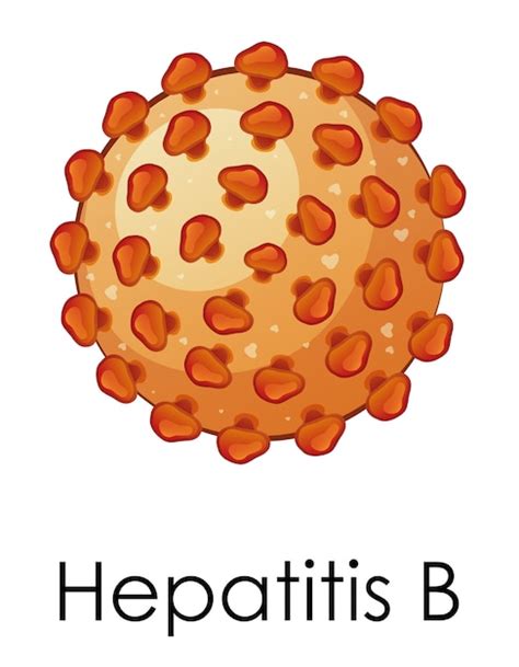 Imágenes De Hepatitis B Vectores Fotos De Stock Y Psd Gratuitos