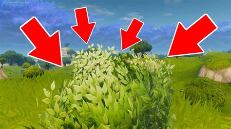 How To Defeat The Bush Fortnite Battle Royale Funny Moments Youtube
