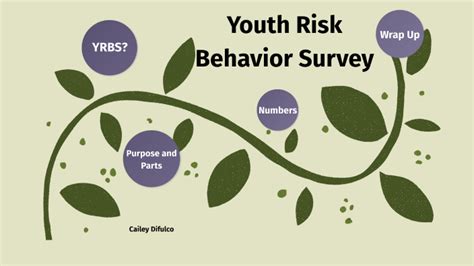 Youth Risk Behavior Survey By Cailey Difulco
