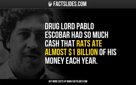 The 25 Best Pablo Escobar Facts Ideas On Pinterest Don Pablo Escobar