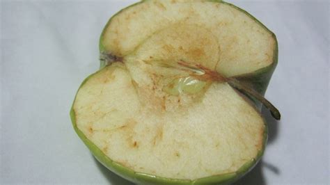 Fotociencia Oxidación De Una Manzana