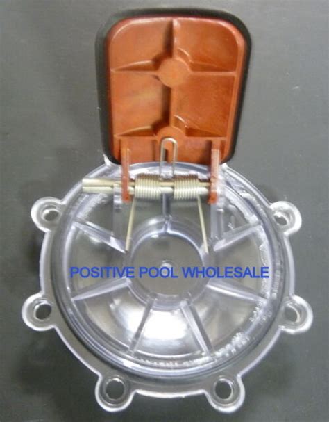 ZODIAC OEM JANDY CHECK VALVE FLAPPER ASSEMBLY 2 PACK 7056 7235 EBay