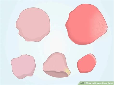 We did not find results for: 50 Easy Ways to Draw a Rose - Learn How to Draw a Rose