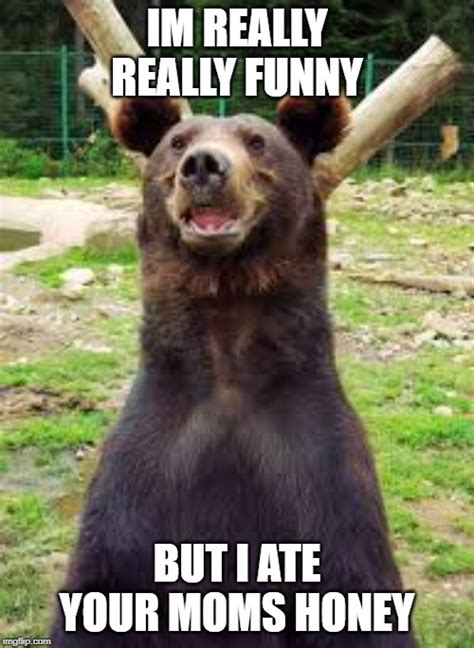 Funny Bear Imgflip