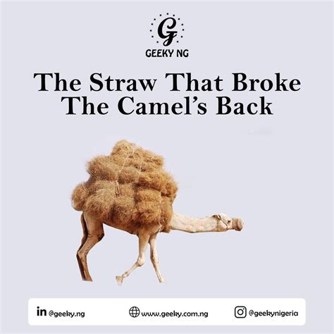 Story Time The Straw That Broke The Camel S Back Geeky Nigeria