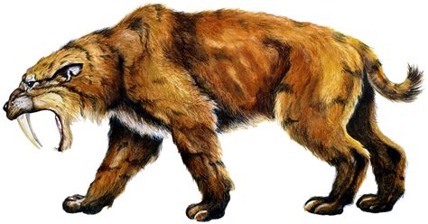 We did not find results for: Saber-Toothed Tiger | VS Battles Wiki | FANDOM powered by ...