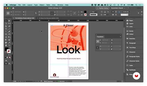 What Is Indesign And How Can It Help You Domestika