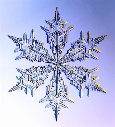 Stunning Images Of Snowflakes Under A Microscope Oversixty