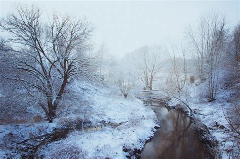 Free Photo Woodland Stream Covered With Snow Branches Outdoors