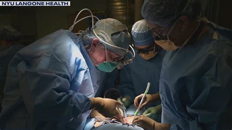 Results Of Pig Liver Transplant To Human Profound Surgeon Says