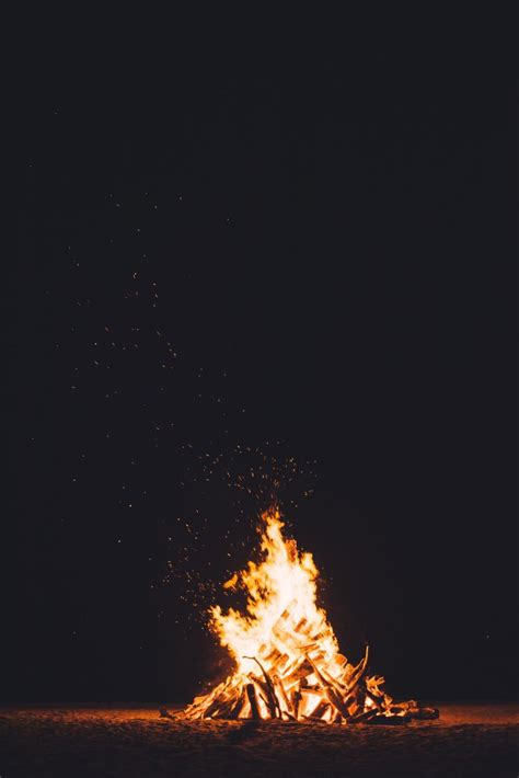 Free Stock Photo Of Bonfire In The Forest Download Free Images And