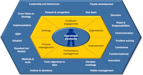 Operational Excellence 100 Criteria