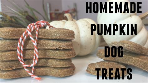 Simple Homemade Pumpkin Dog Treats 2 Ingredients Youtube