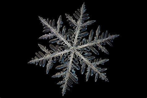 What makes a snowflake special? | News | Chemistry World