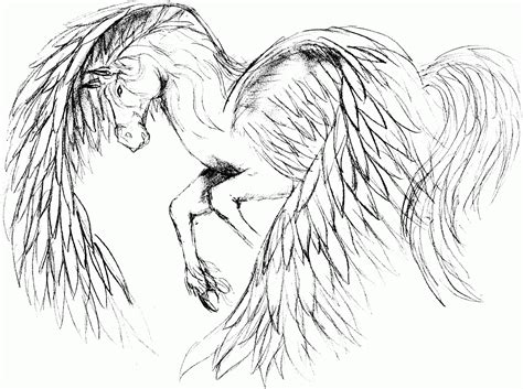 Malvorlagen Einhorn Pegasus Coloring And Malvorlagan