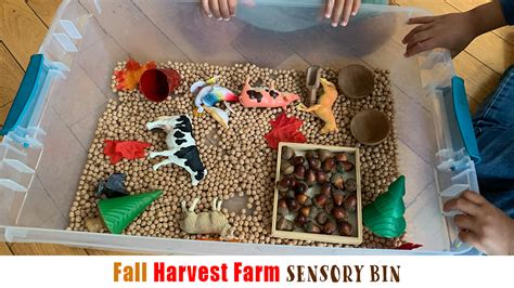 Fall Harvest Farm Sensory Bin Happy Toddler Playtime