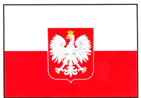 These flags can be used as is or as inspiration. Poland/Polish Flag 5ft x 3ft With Eyelets For Hanging ...