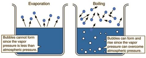 Differentiate Between Evaporation And Boiling Class 9 Cbse
