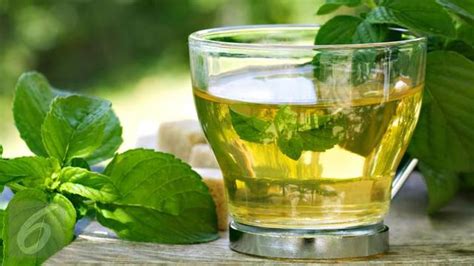 Apabila teh hijau dikonsumsi sembari menerapkan gaya hidup sehat tersebut, manfaatnya untuk. Cara Minum Green Tea Untuk Kurus - Seputar Minuman