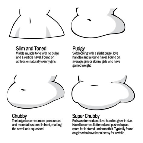 Female Tummy Reference Sheet By Lordstormcaller Character Design