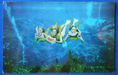 Mermaids Eat Watermelon Underwater Vintage Postcard Weeki