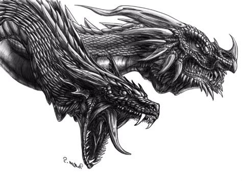 Two Headed Dragon Drawing At Explore Collection Of